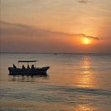 Boat Tours